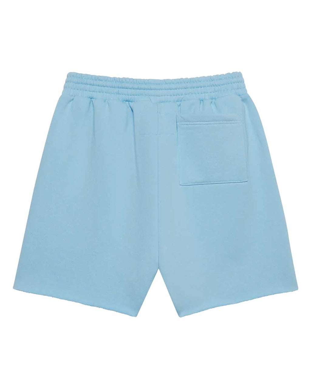 Sp5der OG Web Sweatshorts Sky Blue