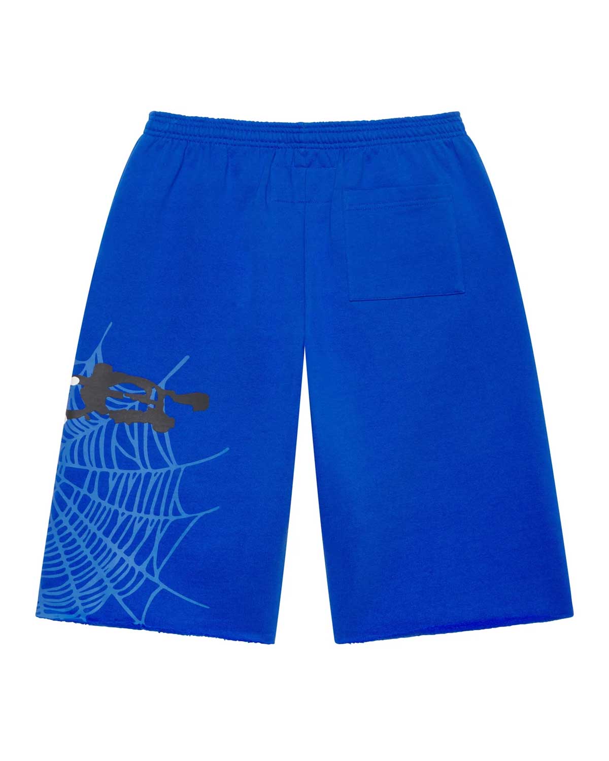 Sp5der Heavy Web Long Shorts Tory Blue